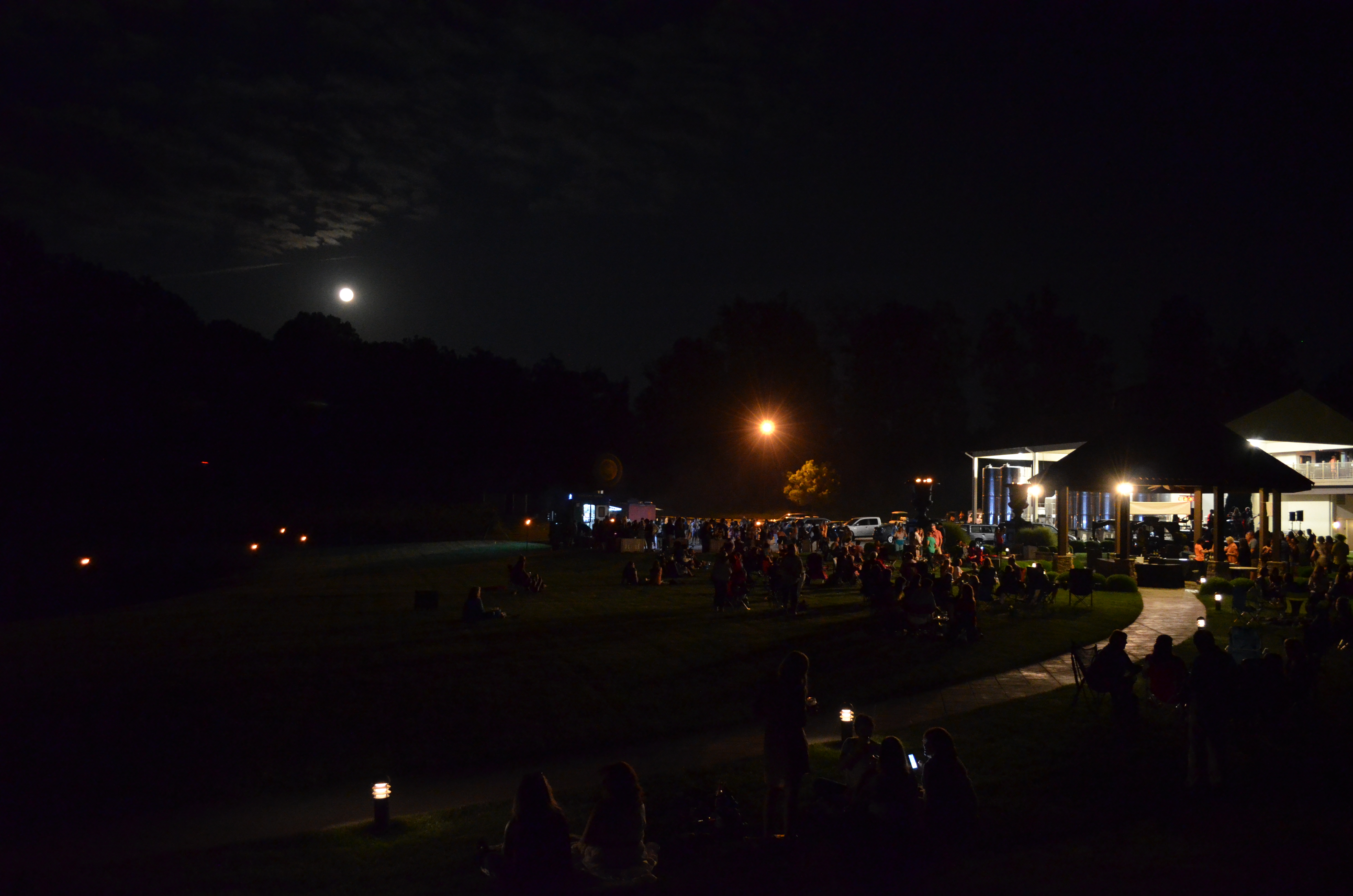 ./2016/18 - Grape Stump/DSC_0646.JPG